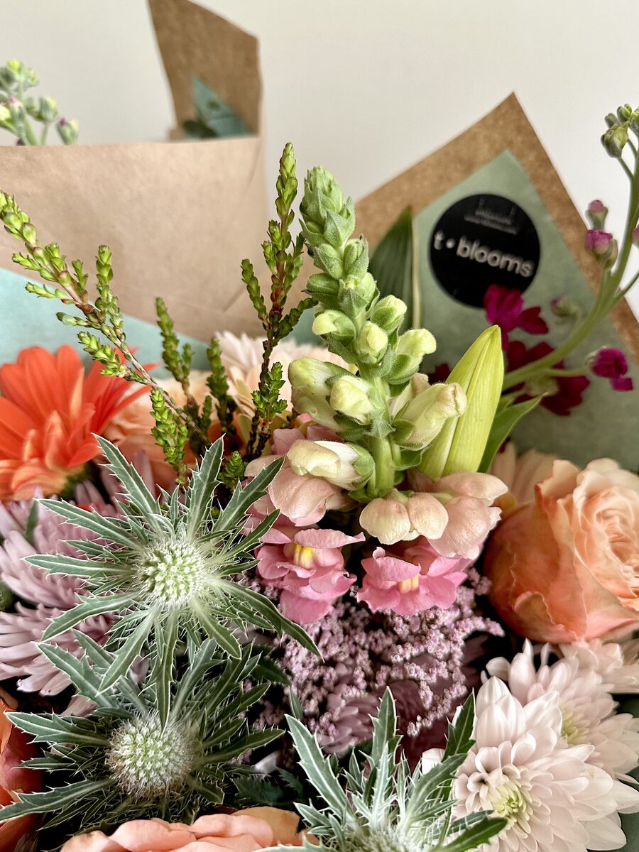 Paper-Wrapped — 12